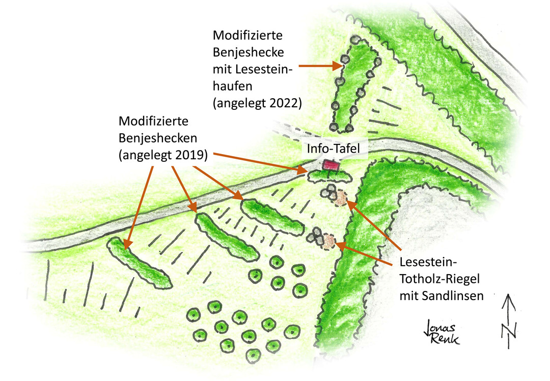 Skizze der 2019 und 2022 angelegten modifizierten Benjeshecken und der zustzlichen Biotopelemente (Ausschnitt aus Bild 1).