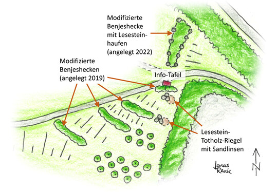 Skizze der 2019 und 2022 angelegten modifizierten Benjeshecken und der zustzlichen Biotopelemente (Ausschnitt aus Bild 1).