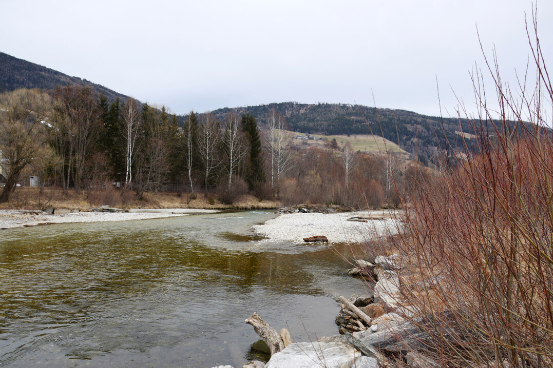 Naturnaher Bach im Lungau (Österreich)