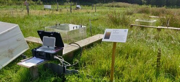 Treibhausgasmessung im Projekt Optimoor