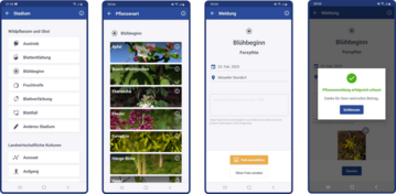 Eingabemasken fr Pflanzenmeldungen ber die WarnWetter-App des DWD