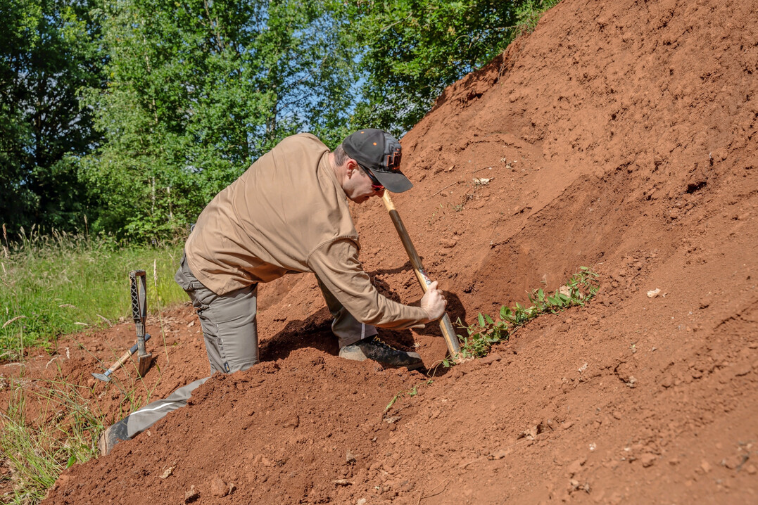 Archiveboden: Roterde