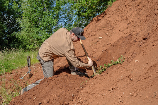 Archiveboden: Roterde