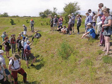 Netzwerktreffen 2019: 
<i>Auf den Netzwerktreffen werden Praxisbeispiele vor Ort diskutiert. </i>