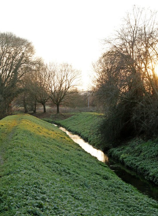 Erbsenbach bei Dieburg