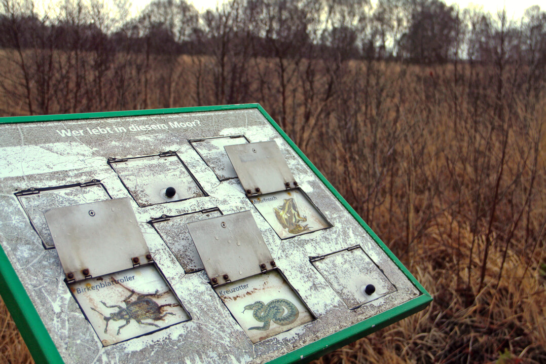 Naturlehrpfad Ewiges Meer