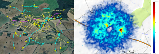 Gro�e Datenmengen werden automatisiert ausgewertet und grafisch aufbereitet. Die linke Abbildung zeigt 3D-Flugwege des Rotmilans (hellgelb), des Seeadlers (t�rkis) und des Schreiadlers (pink) an einem Tag im April 2025. Rechts wird die r�umliche Verteilung der Seeadlerflugaktivit�t �ber mehrere Monate als Heatmap dargestellt.