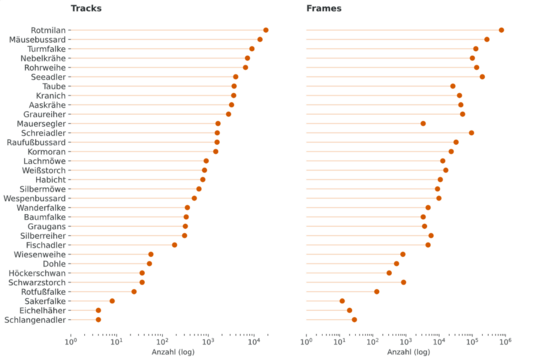 IdentiFlight erfasst und identifiziert ein breites Spektrum an Vogelarten. Die Grafik zeigt das an einem Beispielstandort in Mecklenburg-Vorpommern detektierte Artspektrum �ber den Zeitraum von 12 Monaten. Links sind die Flugereignisse aufgef�hrt, rechts die Anzahl der einzelnen Bildaufnahmen.