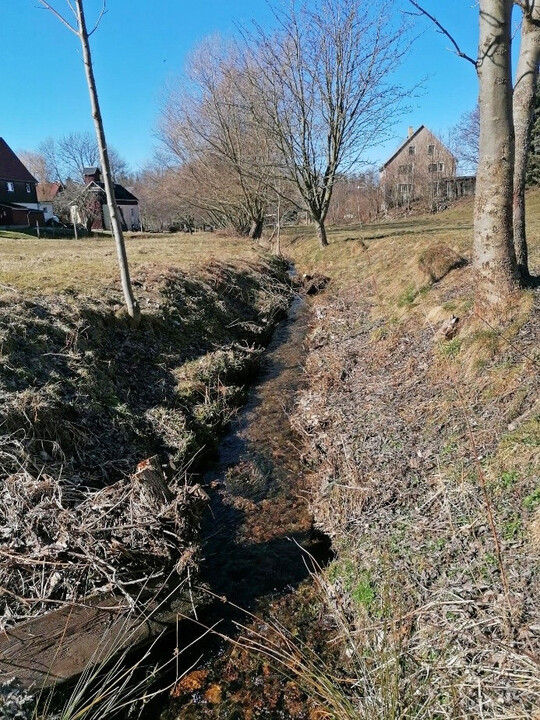 Vorher: Der Abschnitt des Hennersdorfer Baches vor Beginn der Maßnahmen. Der Bach ist auf ganzer Länge mit Rasengittersteinen befestigt.