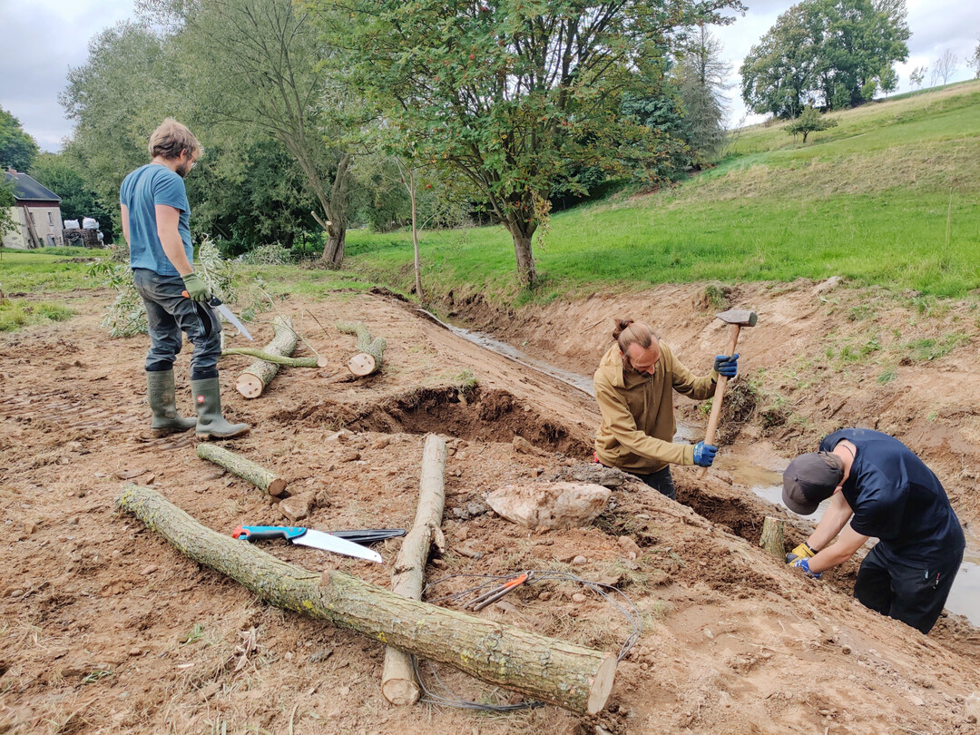 Einbau eines lebenden Abweisers aus Weidenmaterial zur Begrünung und Erhöhung der Strukturvielfalt