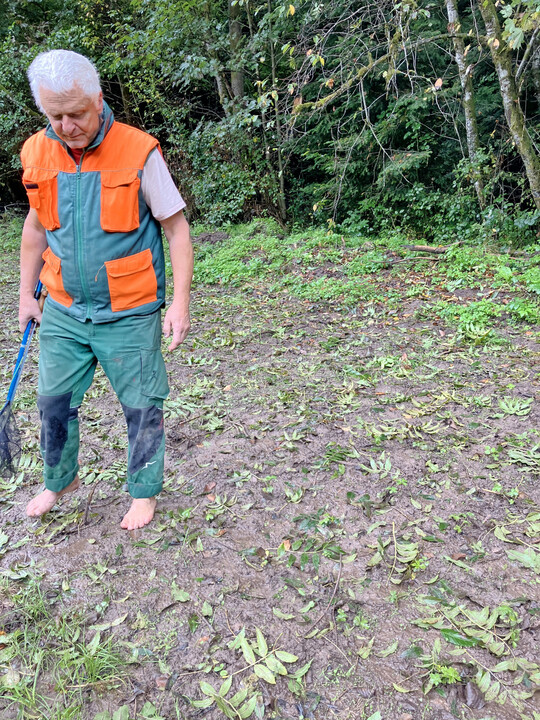 Abb. 2: Auspflanzaktion in feuchtem Gelände