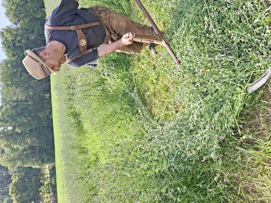 Abb. 1: Bei der Sensenmahd wird das Sensenblatt in der Regel gleitend �ber den Boden gef�hrt. Die Anhebung der Schnitth�he kam historisch f�r gro�e Fl�chen nicht in Betracht. 