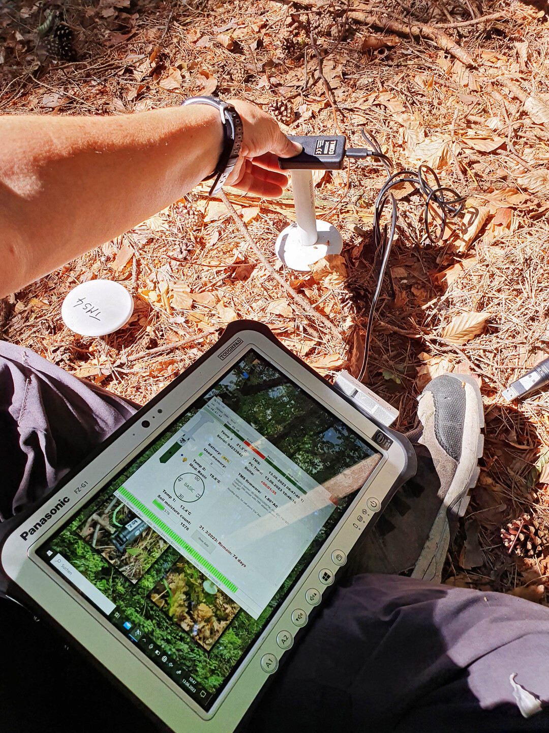 Messung der Bodentemperatur und Bodenfeuchtigkeit im Wald