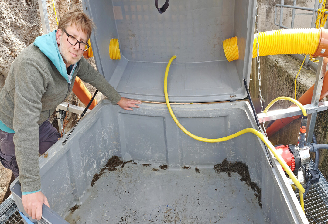 Oliver Hauck mit dem Auffangbehälter für die gefangenen Krabben