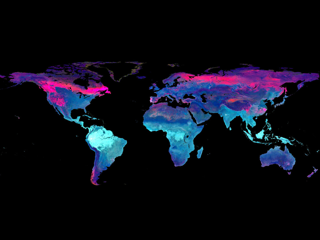 Mithilfe neuer Methoden erstellten die Forschenden die bislang detailliertesten Karten wichtiger Pflanzenmerkmale. (Grafik aus Lusk et al. 2026, erschienen in Nature Communications).