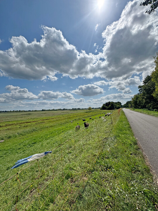 2025 bewirtschafteten die deutschen Landwirtinnen und Landwirte 4,7 Mio. ha beziehungsweise 28,5 % der landwirtschaftlich genutzten Fl�che mit Dauergr�nland. Gut die H�lfte wurde als Weide genutzt. 4,5 % des Dauergr�nlandes waren 2025 ertragsarme Fl�chen wie Naturschutzfl�chen oder Hutungen. (Quelle: https://www.bmel-statistik.de/landwirtschaft/bodennutzung-und-pflanzliche-erzeugung/gruenland)