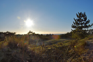 Sonne über Dünen an der Nordsee