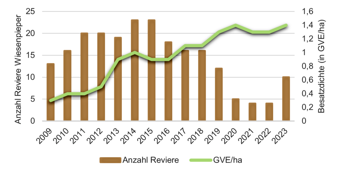 Abb. 6: Zusammenhang zwischen Besatzdichte und Anzahl der Reviere des Wiesenpiepers (
<i>Anthus pratensis</i>
) von 2009 bis 2023. Der Zusammenhang ist signifikikant negativ (R� = 0,33, p = 0,01).