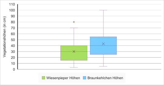 Abb. 8: Das Braunkehlchen bevorzugt in seinen Revieren eine mittlere Vegetationsh�he von 40 cm, der Wiesenpieper von 30 cm.