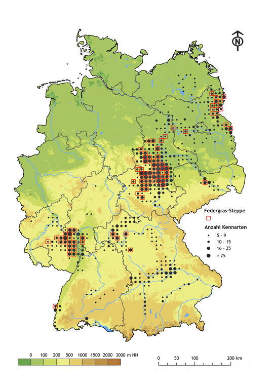 Abb. 2. Verbreitung der Kennarten (Punkte) und der Gesellschaft (Quadrate) der Federgras-Steppe in Deutschland in der Auflösung von TK25-Kartenblättern.
