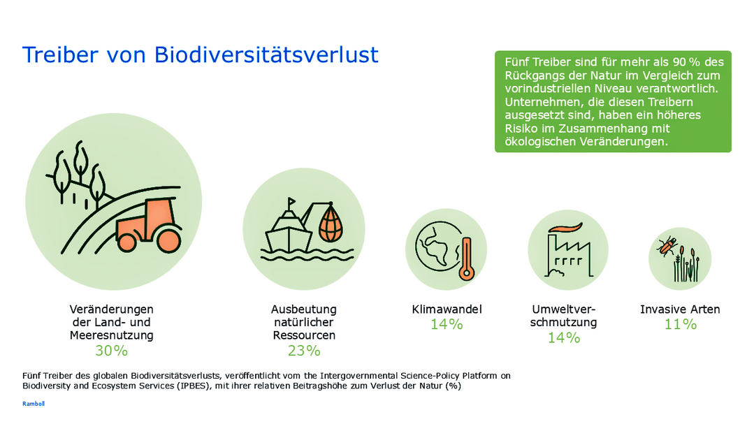 Diese f�nf Treiber sind f�r �ber 90 % des Biodiversit�tsverlustes verantwortlich.