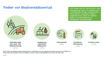 Diese f�nf Treiber sind f�r �ber 90 % des Biodiversit�tsverlustes verantwortlich.