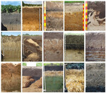 Die Bildkombination zeigt eine Auswahl von Niedersachsens vielfältigen Ackerböden.