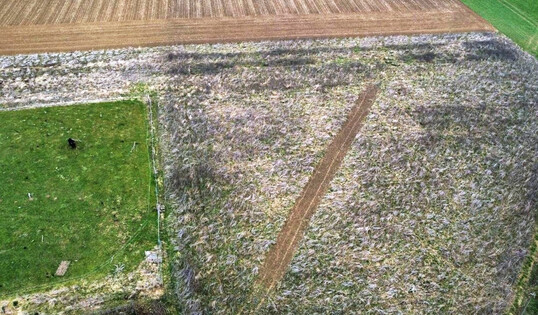 Luftbild eines Schwarzbrachestreifens innerhalb einer mehrj�hrigen Bl�hfl�che. Durch den Abstand zum Rand der Bl�hfl�che sind die Offenbereiche gut vor Pr�datoren oder zum Beispiel Hunden gesch�tzt.