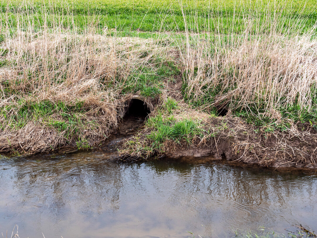Abb. 1: In Ackerbauregionen, wie hier im Wurzener Land (Sachsen), wurden frher viele natrliche Gewsser in den Untergrund verlegt (Tauchnitzgraben) und mit Drainagen angrenzende cker entwssert. Dies vernderte den Wasserhaushalt und die Flchen wurden der Landwirtschaft zur Nutzung bergeben.