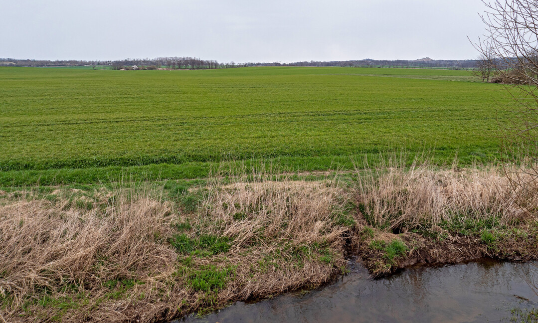 Abb. 1: In Ackerbauregionen, wie hier im Wurzener Land (Sachsen), wurden frher viele natrliche Gewsser in den Untergrund verlegt (Tauchnitzgraben) und mit Drainagen angrenzende cker entwssert. Dies vernderte den Wasserhaushalt und die Flchen wurden der Landwirtschaft zur Nutzung bergeben.
