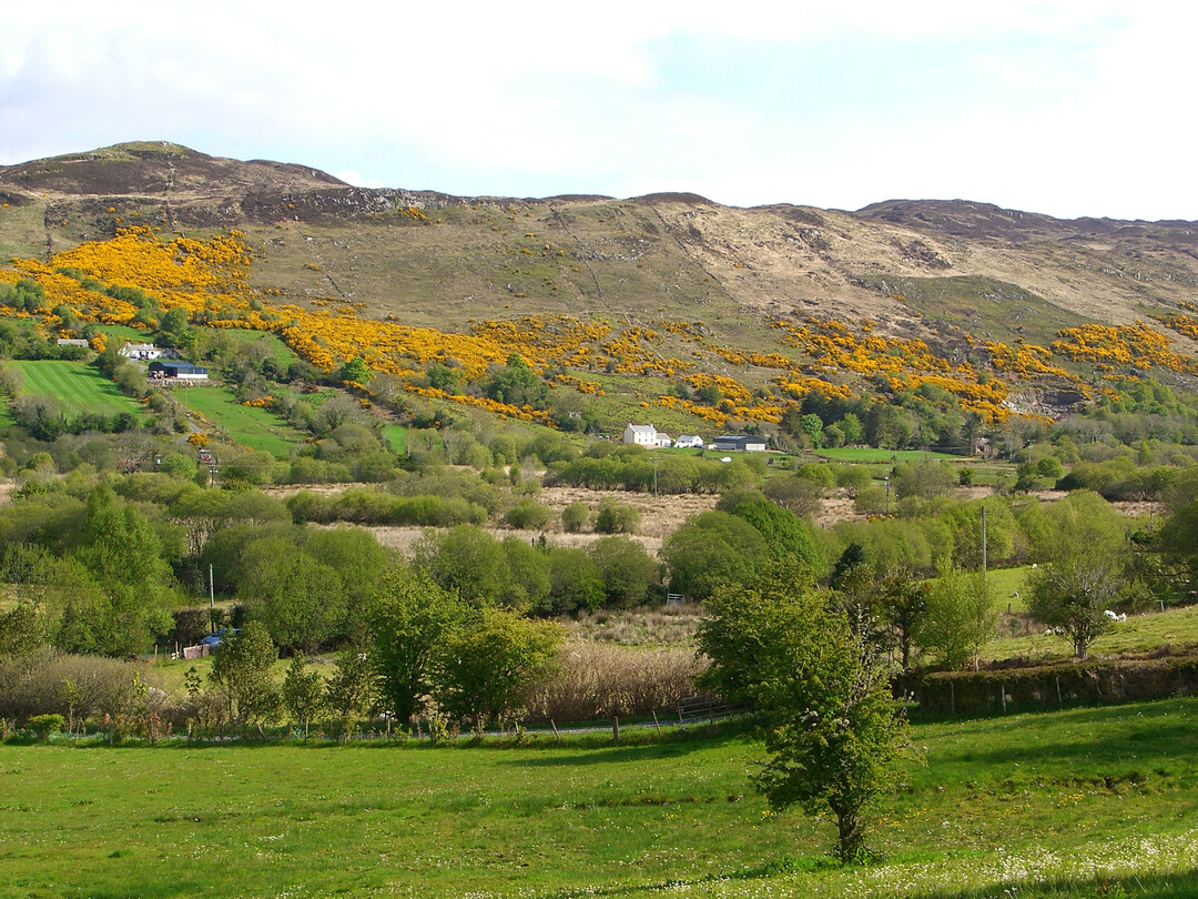 Examples of traditional grazing sheep in Europe with centuries of tradition: a mosaic of intensive and extensive pastures in County Donegal (northwest Ireland)