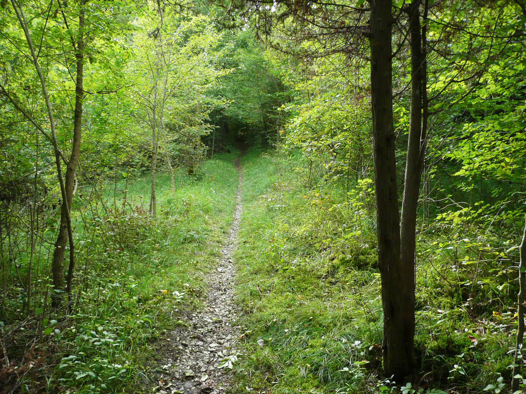 Das "Steigbergsteigle" im September 2010