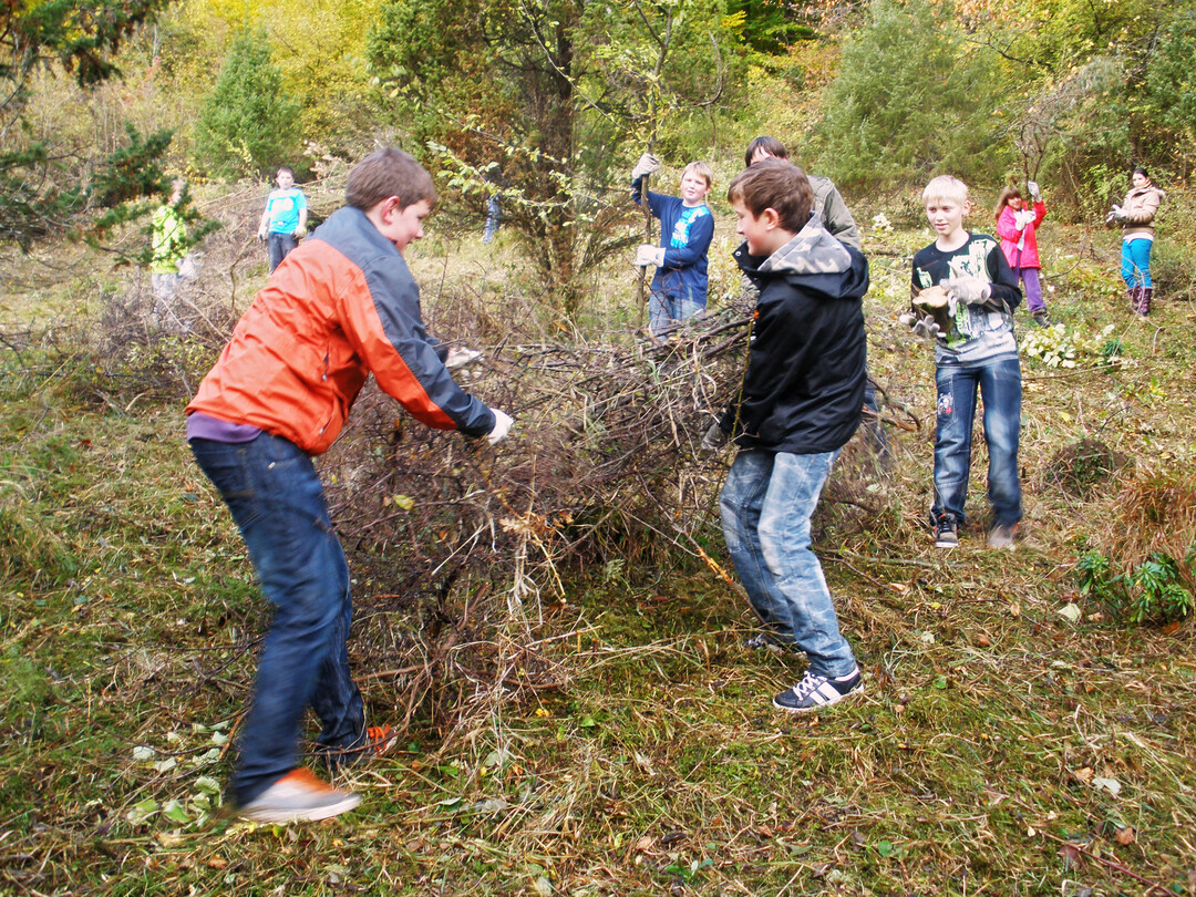 Schlerinnen und Schler helfen dabei, die gefllten Gehlze von der Flche zu rumen.
