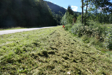 Frisch gemhtes Straenbegleitgrn