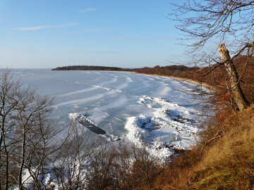 Steilkste Vilms im Winter, gerahmt von Gehlzen