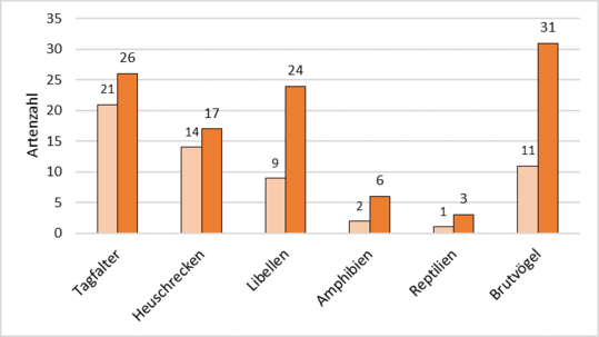 Artenzahl der kartierten Tiergruppen bei der Ersterfassung im Jahr 2015 (hellorange) und der Wiederholungserfassung im Jahr 2022 (dunkelorange)
