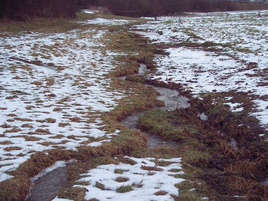 Abb. 3: Der Eichbach nach der Renaturierung: geschwungener Lauf mit 20 cm Tiefe und 30 cm Breite.