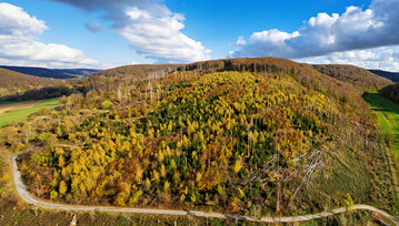 Alte Buchenwlder (im Hintergrund), im Vordergrund jngere Buchenpflanzungen, Birkenvorwlder, Drrstnder und Fichtenjungwuchs