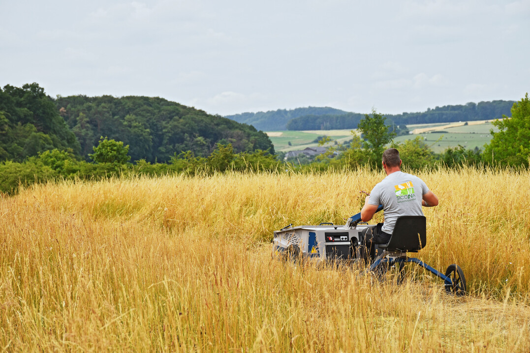 Abb. 2b) Beerntung und Ansaat mittels Seedharvester geernteter Wiesenmischungen