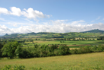 Um Mosaiklandschaften wie im Hegau zu erhalten und nachhaltig zu nutzen, knnte ebenso wie in intensiv genutzten Landschaften eine horizontale Bndelung der Behrden mit Zustndigkeit fr alle Schutzgter des Naturschutzes und eine nachhaltige Landnutzung positiv wirken.