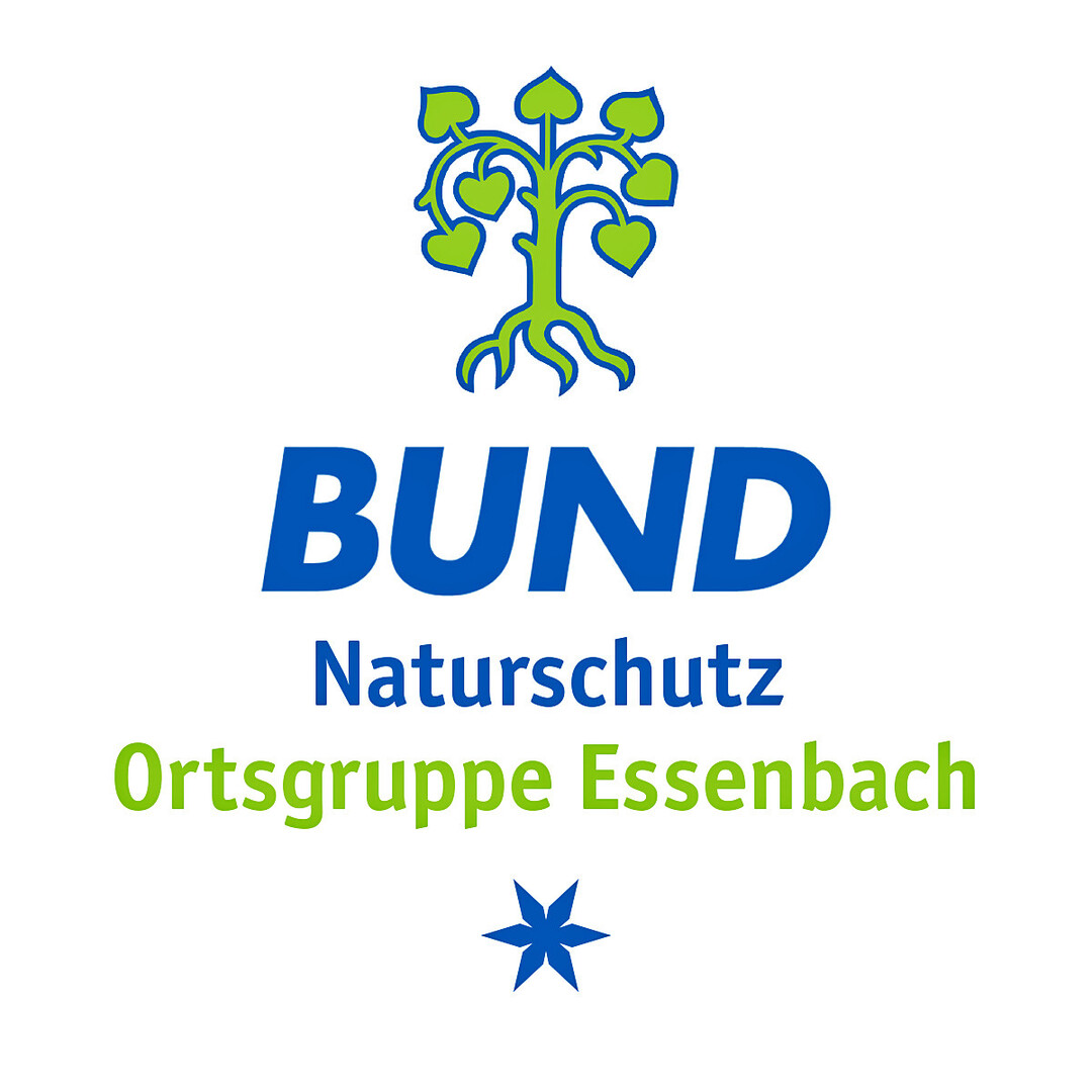 und das finale Motiv.