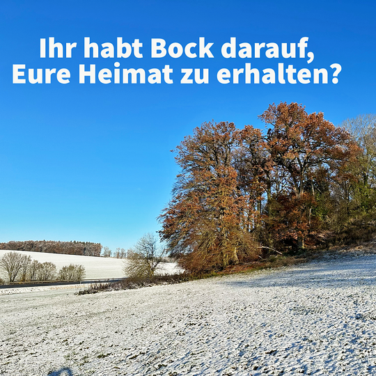 Posts können auch Text auf den Bildern beinhalten – und zum Mitmachen motivieren.