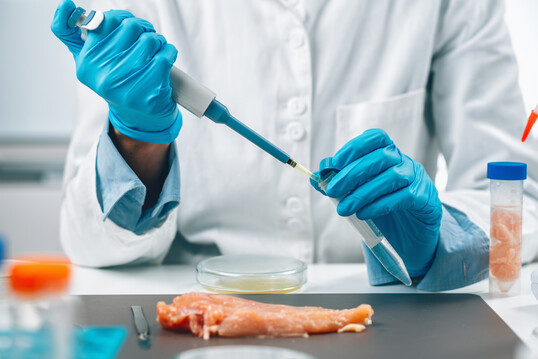 Ein effektives Salmonellenmonitoring hilft, kontaminiertes Geflügelfleisch frühzeitig zu erkennen und die Verbreitung zu stoppen.