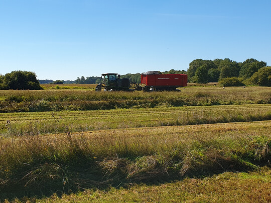 Mhraupe mit Ladewagen