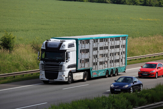 Das Landvolk Niedersachsen hält die Vorschläge zur Novellierung der EU-Vorschriften zum Schutz von Tieren beim Transport für nicht umsetzbar.