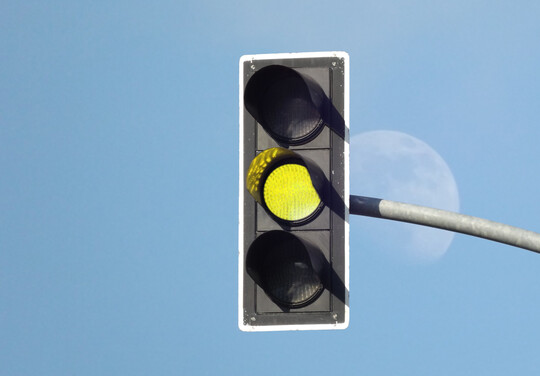 Die Geflügelpest-Ampel steht auf „Gelb“: Die Gefahr, dass die Tierseuche in Deutschland auftritt, ist mittel.