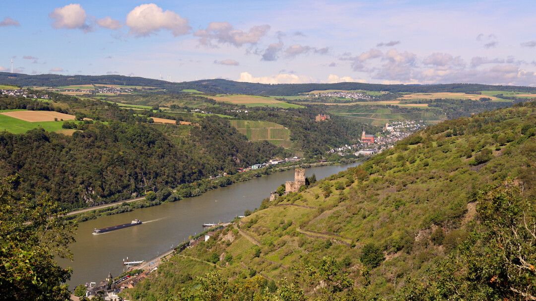 Abb. 2: Landschaftsbild und Naturerleben bilden eine kulturelle kosystemleistung  fr die Erhaltung und Entwicklung nicht mehr wirtschaftlich nutzbarer Kulturlandschaften bedarf es einer ganzheitlich fr die Ressource Landschaft zustndigen Behrde (UNESCO-Welterbe Oberes Mittelrheintal bei Kaub).