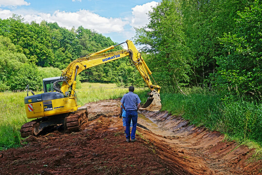 Abb. 4: Renaturierungen etwa zur Wiedervernssung sind auch politisch in groem Stil gewnscht  so im Rahmen der geplanten EU-Verordnung zur Wiederherstellung der Natur und der laufenden UN-Dekade zur Wiederherstellung von kosystemen (Kompensationsmanahme im Saarland).