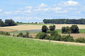 Heterogene Kulturlandschaft mit Grnland, Wiesen, Feldern, Wald und Hecken in Baden-Wrttemberg