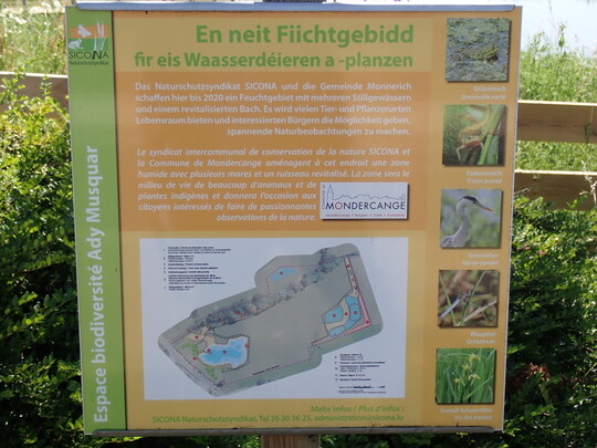 Daneben informieren Schilder ber die Funktionen von Feuchtgebieten mit ihren typischen Arten.